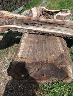 Orechove drevo, forsty na živicovy jedinečný stôl - 6