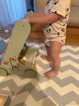 Chodítko Little Duck s aktivitami Goose - 6