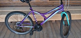CAPRIOLO DIAVOLO 600/ 26“/19“ - 6