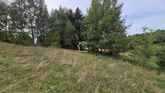 ROZĽAHLÝ REKREAĆNÝ POZEMOK, DETVIANSKA HUTA - BRATKOVICA - 6