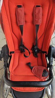 2 kombinacia kociar - 6