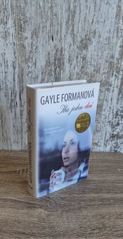 Iba jeden deň – Gayle Formanová (Ikar) - 6