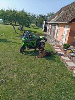 Predám Kawasaki Z1000SX - 6