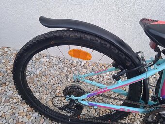 CTM Mony 24" - 6