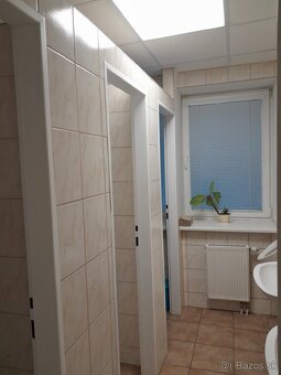 Prenájom priestorov s parkovaním Nitra Vodná - 6