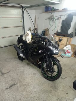 Predám kawasaki ninja 250r r.v2012 - 6