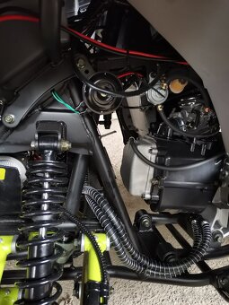 Ranger 300 RR - 6