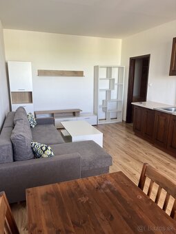 Byt na prenájom 45,8 m2 zariadený - 6