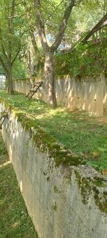 Chatka so záhradou - 6