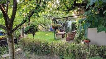 Záhrada s chatkou Šaľa - Veča - 6