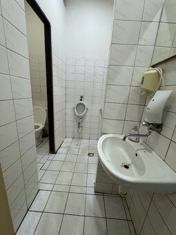 Prenájom nehnuteľnosti vhodnej najmä na podnikateľské účely - 6