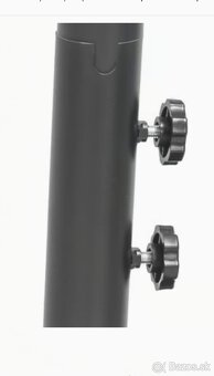 Slnečník záhradný - 6