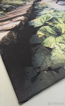 Fotoobraz zo Slovenského raja, oblasť Tomášovská Belá - 6