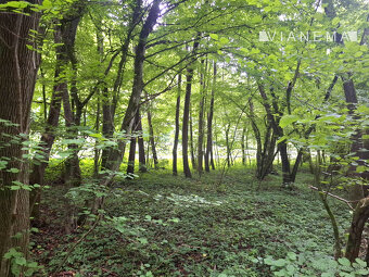 IBA U NÁS Pozemok s potokom v prírode na predaj - Nemšová - 6