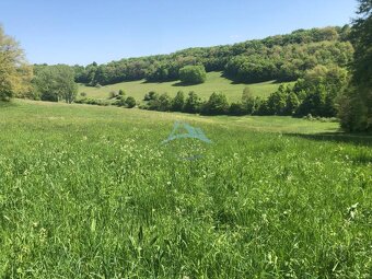 Pekný pozemok (3,2ha) na Hrušove okres Veľký Krtíš. - 6