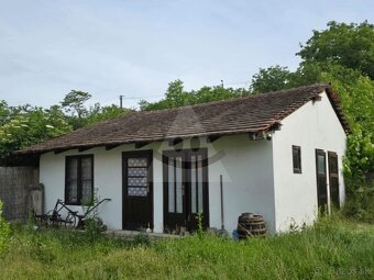 Na predaj starší rodinný dom s vínnym domčekom - Bajtava - 6