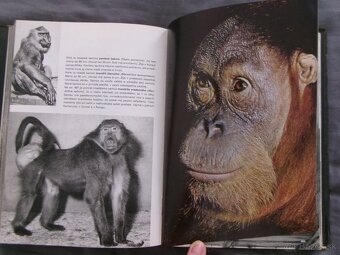 Veľký obrazový atlas zvierat - Václav Jan Staněk. - 6