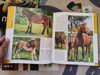 1000 mláďat (CZ) - 6