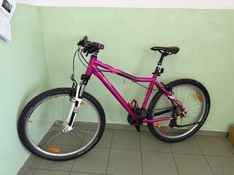 damsky / dievcensky kellys - 6