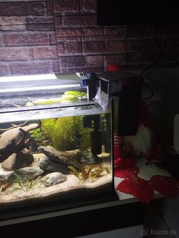 Akvárium - 6