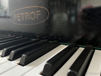 Petrof kridlo - 6