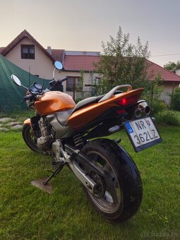 Honda Hornet 600 71kw pc36 r.v.2005 - 6