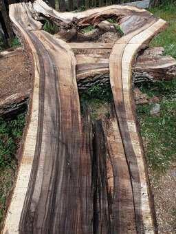 Orechove fosne, hrúbka 84mm - 6