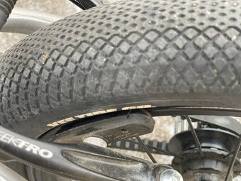 Early Rider Belter 14” - 6