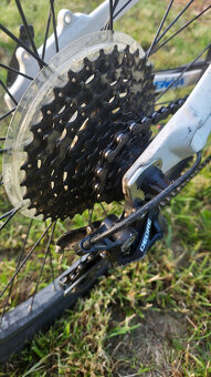 ORBEA MX 24 TEAM - 6