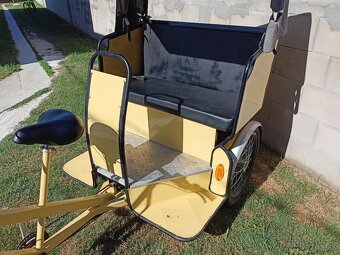 Elektrická trojkolka (Žltý taxi) Cargo s elektrickým motorom - 6