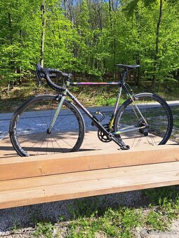 Colnago - 6