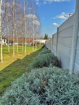 Rodinný dom s pozemkom 2000 m2 - VRÁBLE - 6
