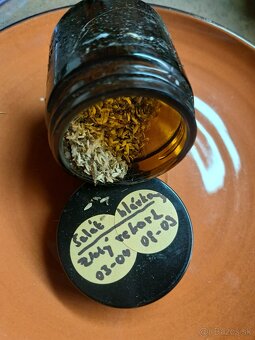 Semená zeleniny a ovocia - 6