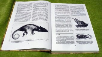 Chameleoni - Petr Nečas - 6