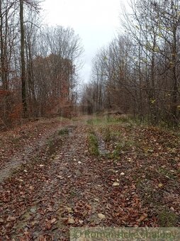 Pozemok na samote u lesa (2,2ha) Papín /Humenné - 6