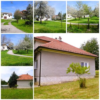 Usadlosť ktorá má až 3domy a luxusný pozemok samota v meste - 6