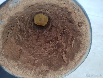 Africké Djembe bubny - 6