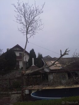 Pílenie stromov, rizikove pílenie - 6