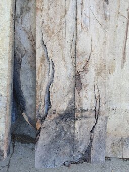 Stare rezivo - pagaštan fošne. - 6