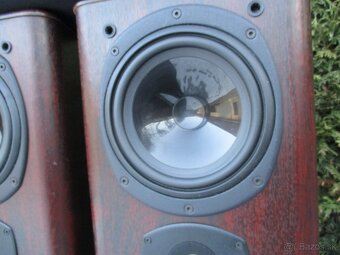 Tanoy 633 Rosewood D30 - 6