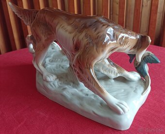 Royal dux - polovnicky pes - 6