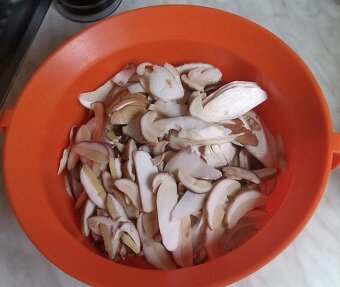 Sušené dubáky - 6