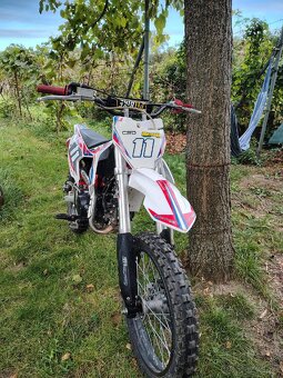 Pitbike SuperPit 125cc Limited Edition - 6