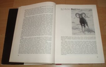 Dutorohá zvěř - 6