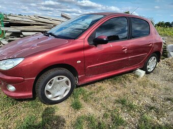Peugeot 206 - 6
