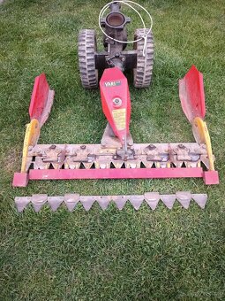 Vari listova kosacka - 6