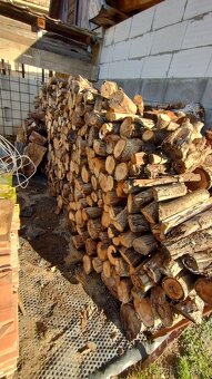 Predam palivove drevo - 6