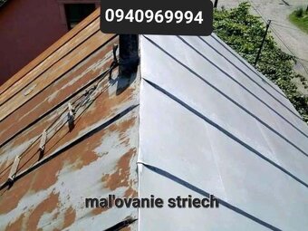 ❇️✨Natieranie/ Maľovanie//natery striech - 6