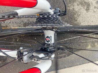 Thömus tomcat oberrider carbon XTR 29 - 6