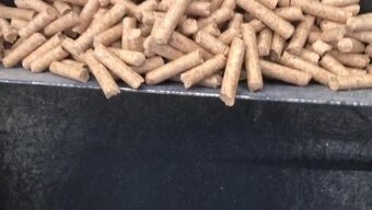 Peletovací linka nová 500 /700 Kg/1hod - 6